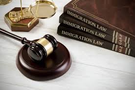 Immigration Legal